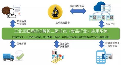 工業(yè)互聯(lián)網(wǎng)標(biāo)識(shí)解析 數(shù)字時(shí)代的“域名”與“網(wǎng)站設(shè)計(jì)”
